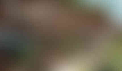 Novo Projeto Turístico Morro do Careca