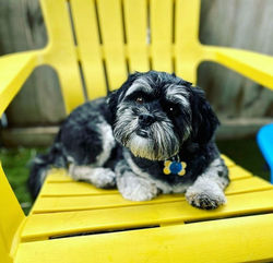 Screenshot_20220124-135058_Business Suite.jpg