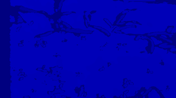 Redwood -- Depth Image (4.1)