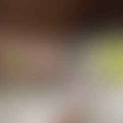 Les 7 bungalows de l'Hibiscus : lequel vous correspond vraiment ? 🌴