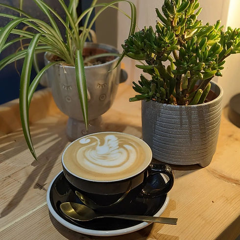 Coffee & Plants.jpg