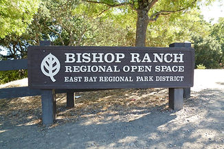 Bishop-Ranch-Regional-Open-Space-San-Ramon-Realtor.jpeg