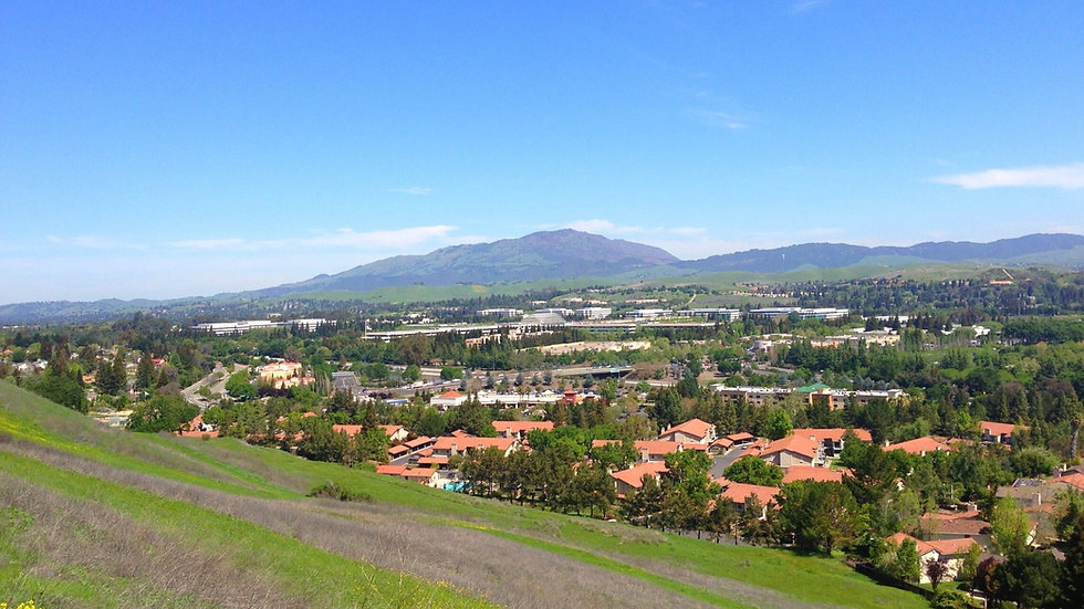 Bollinger-Hills-Community-Villa-Properties-San-Ramon-Realtor.jpeg