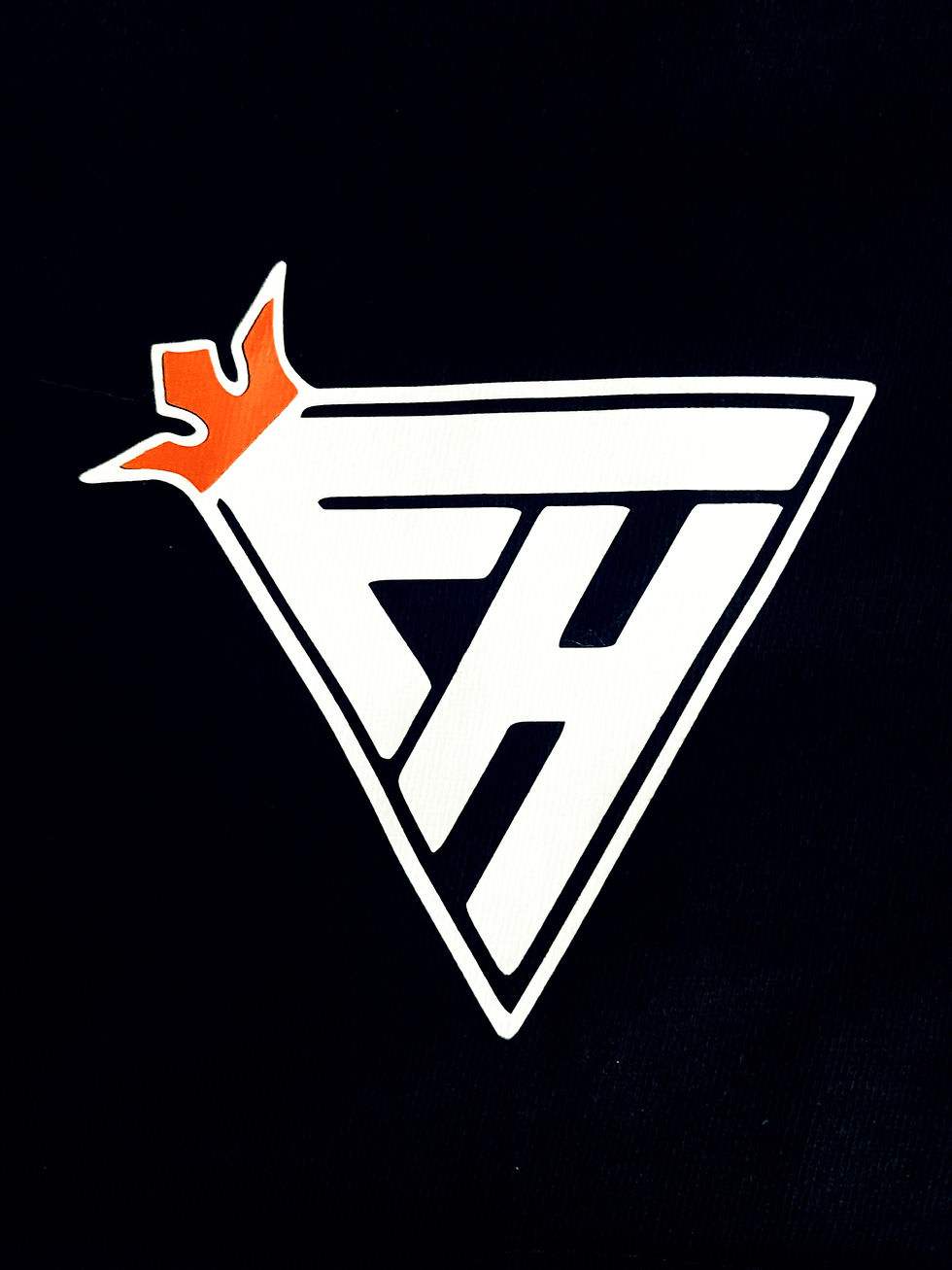 Miniaturbild: T - Shirt FH