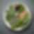 Plant-Based Diet Benefits
