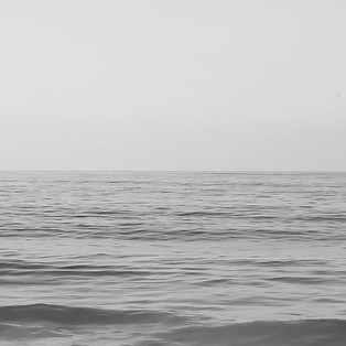 Screen Shot 2021-01-12 at 6.02_edited.jpg