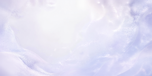 fondo2.png