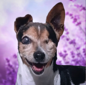 Lupita