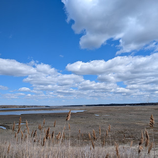 Another shot of Horseneck Beach