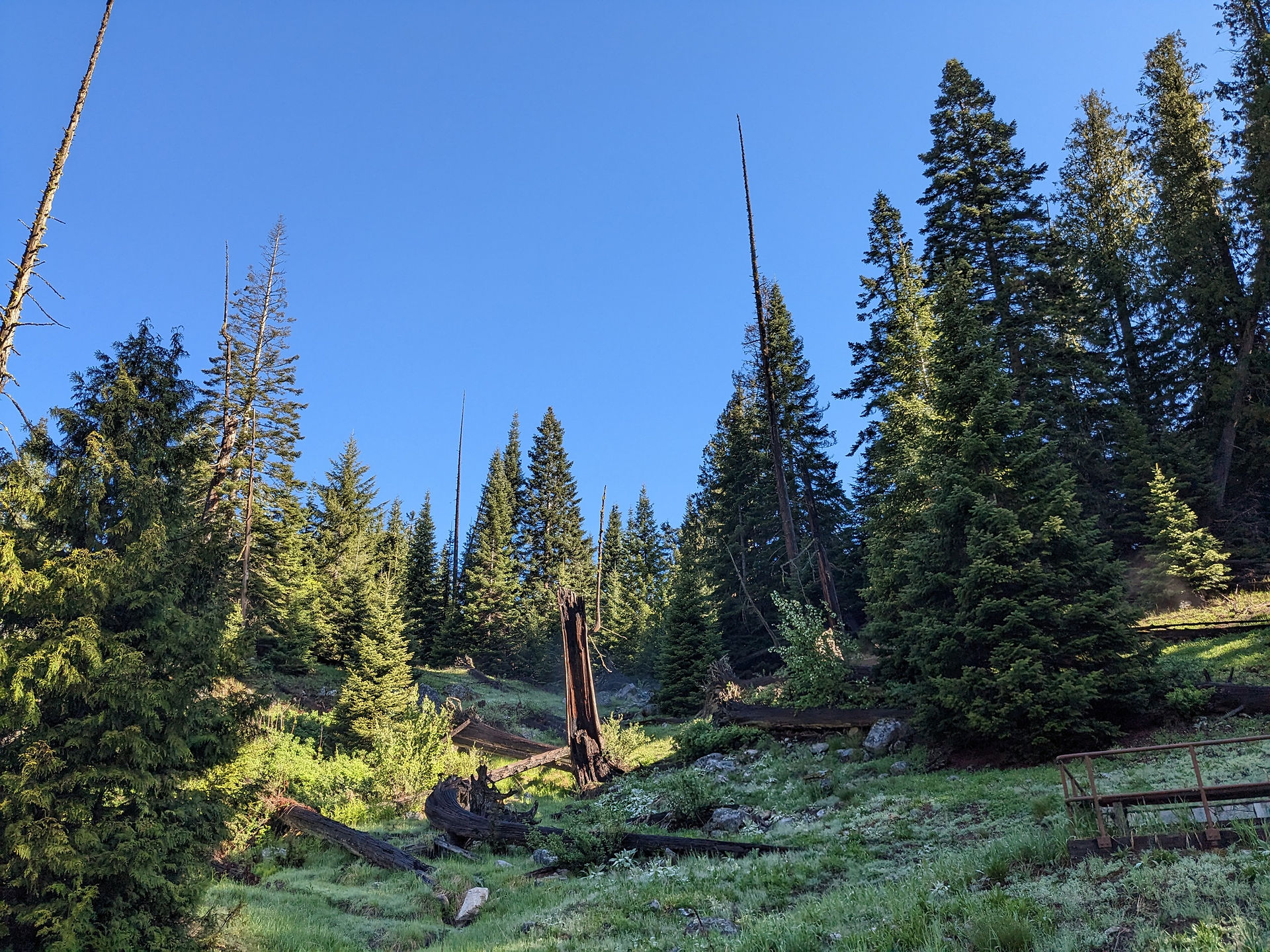 Nex-Perce Clearwater National Forest, Idaho
