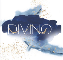 Divino Logo.jpeg