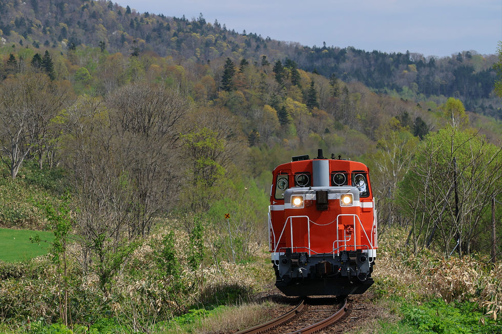 Class DE15 Across Verdant Hokkaido