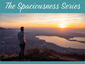 Spaciousness as the Real Goal