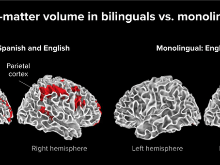 Os benefícios de um cérebro bilíngue. Sua saúde também agradece.