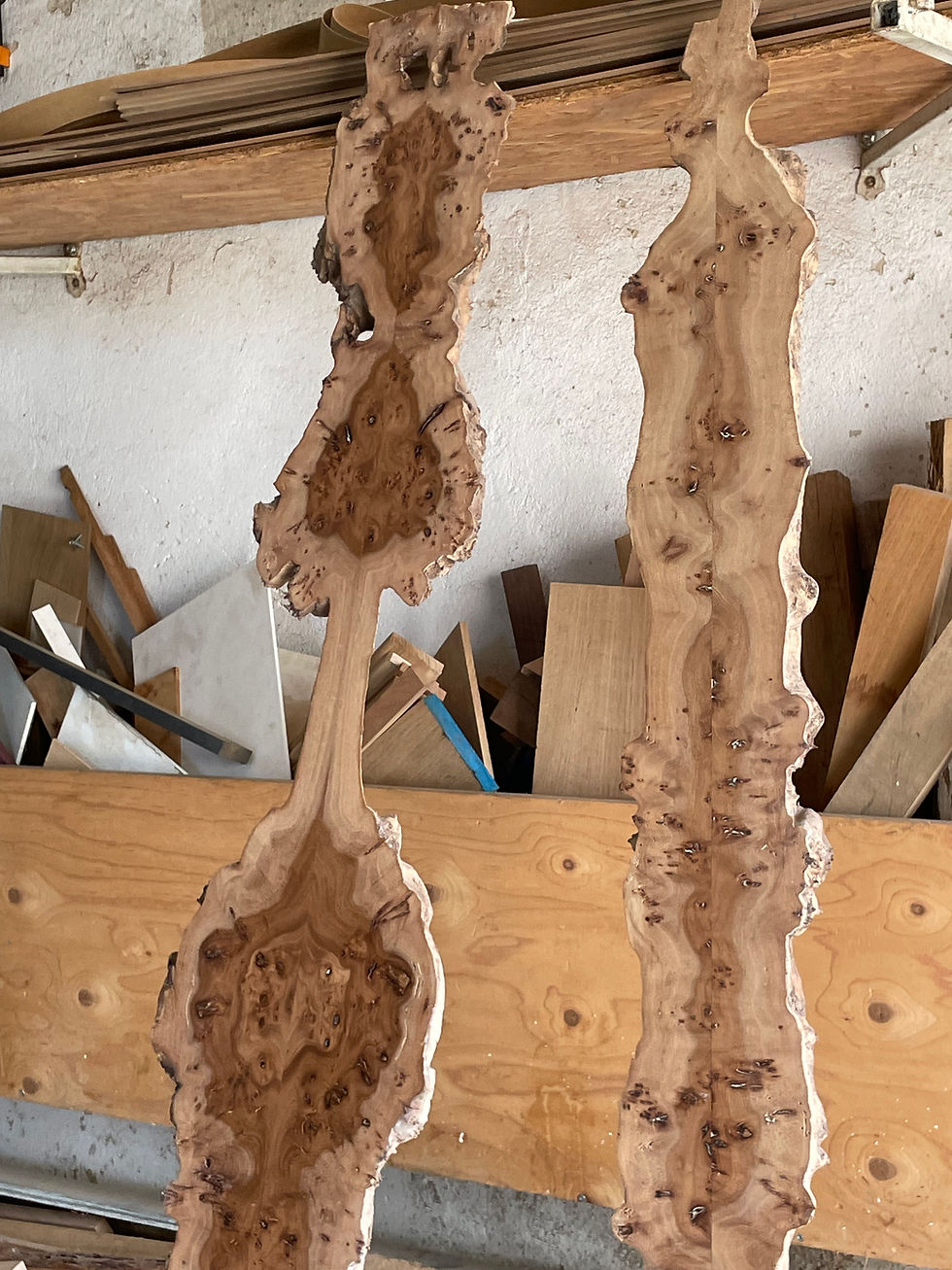 Miniature : Décoration murale bois d'orme galeux