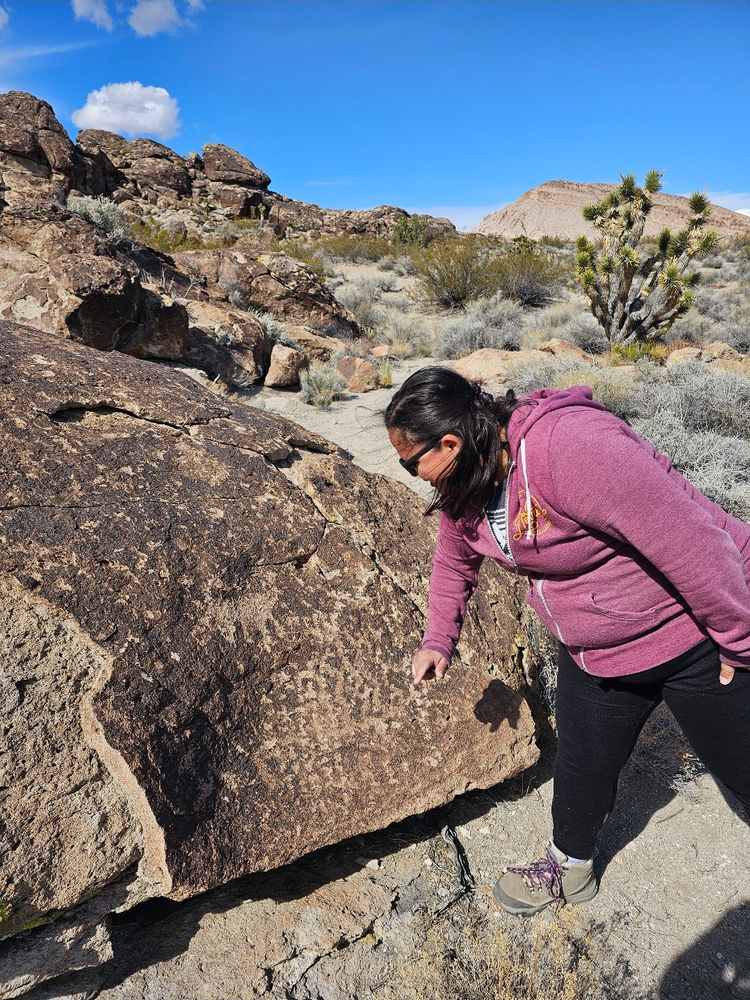 Nevada Historic Preservation Office Internship COLA Internships