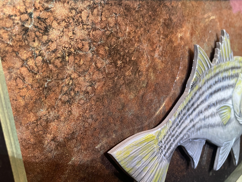 Thumbnail: Striped Bass