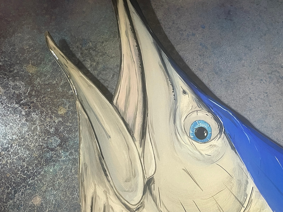 Thumbnail: Sailfish