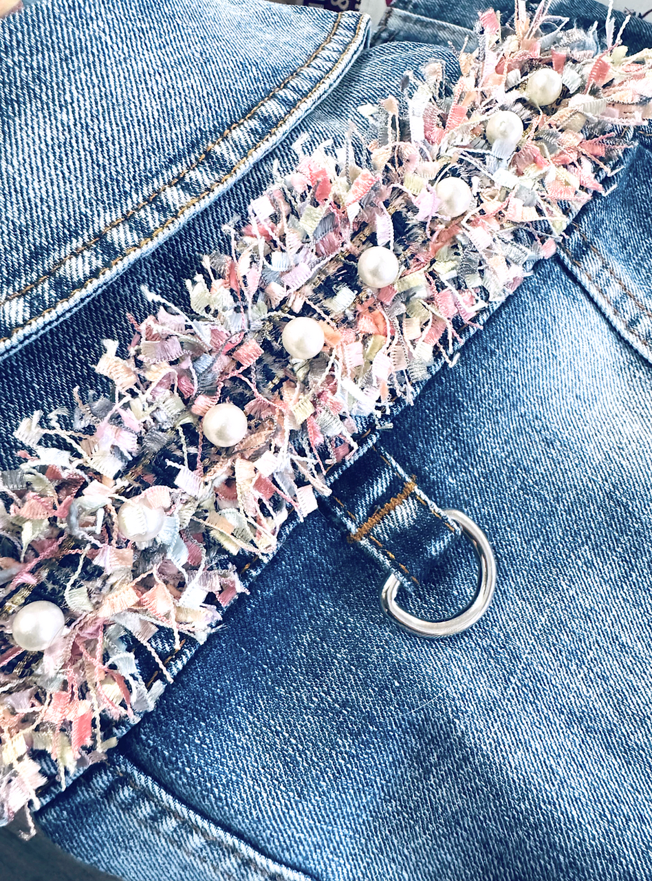 Jeans Fashion for dogs and owners. Matching clothes,