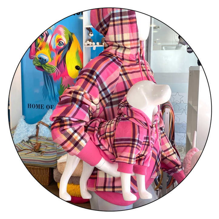 Dog Shop Paradise Lugano Negozio e toelettatura per cani a Lugano