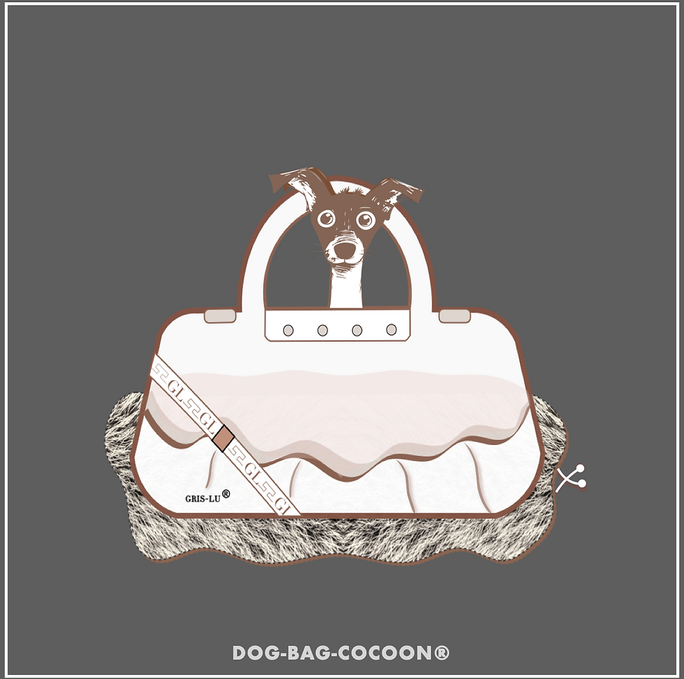 Beste Hundetaschen für Hunde Kissen und Hundeliege.