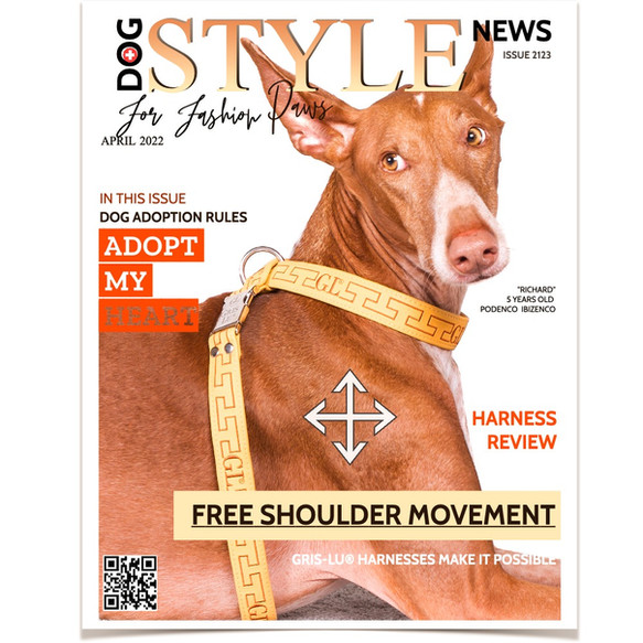 Pettorina per cani che consente il libero movimento delle spalle. Di Gris-Lu Svizzera.