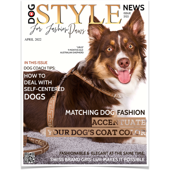 Hundegeschirr beige für grosse Hunde. Aus weichem veganem Leder. Von Gris-Lu Schweiz