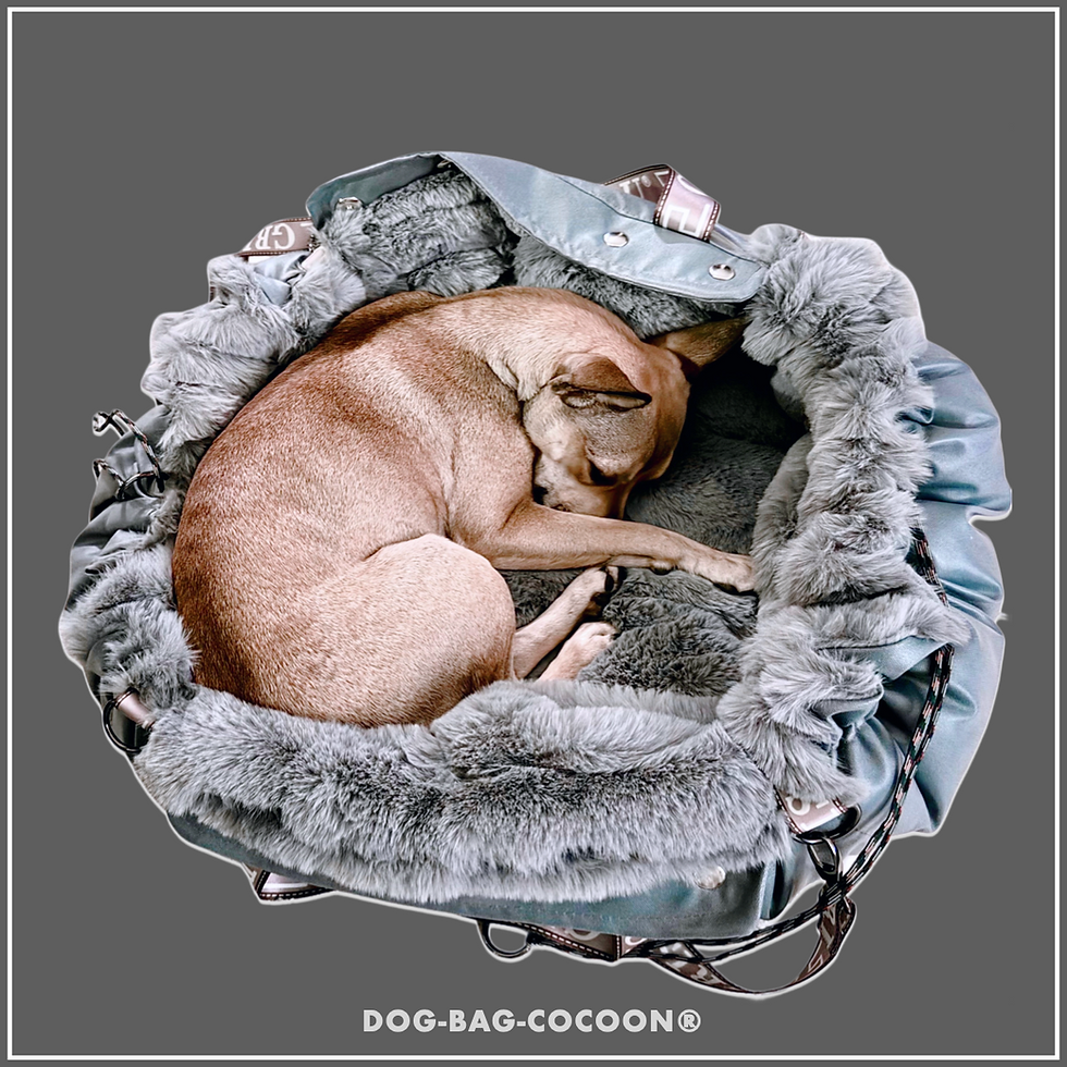 Beste Hundetaschen für Hunde online shop Schweiz.