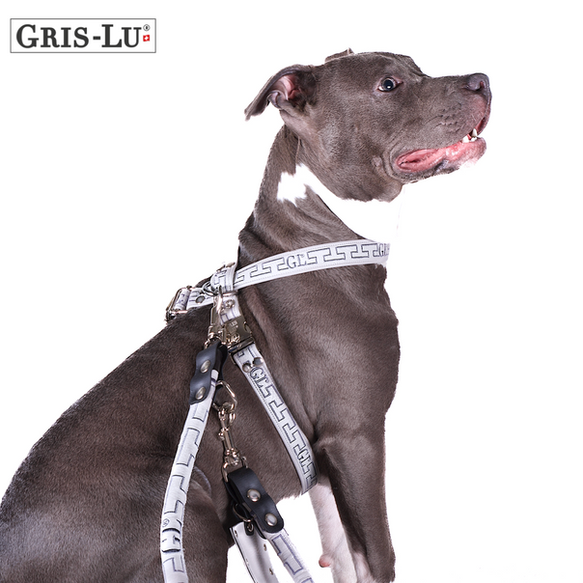 Pettorina per cani forti. Di Gris-Lu Svizzera.