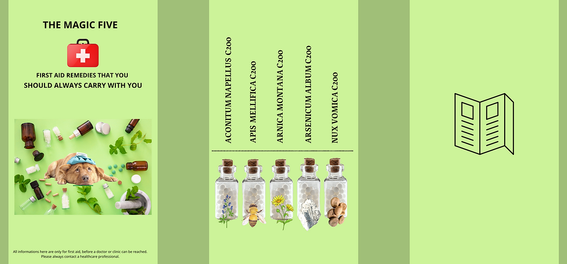 FIRST AID BILD LANDINGPAGE.001.png