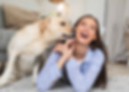 DOG PARADISE TUTTO PER IL VOSTRO CANE.jpg