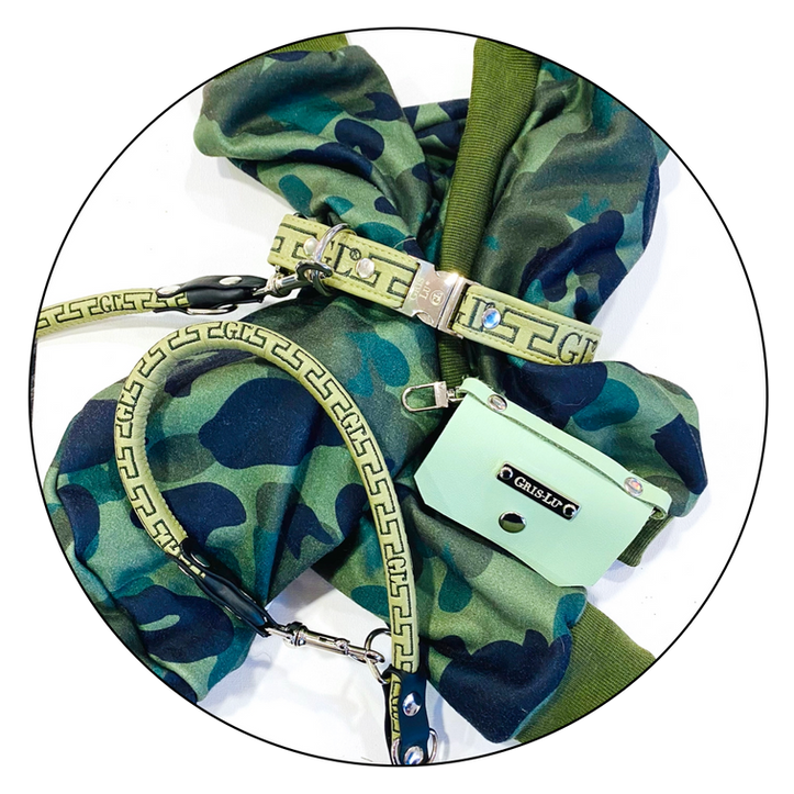 Dog Shop Paradise Lugano Negozio e toelettatura per cani a Lugano