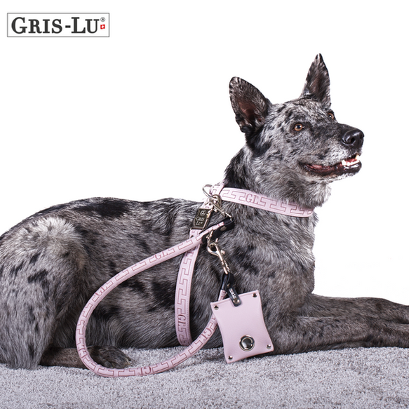 Pettorina per cani di grossa taglia in rosa. Di Gris-Lu Svizzera