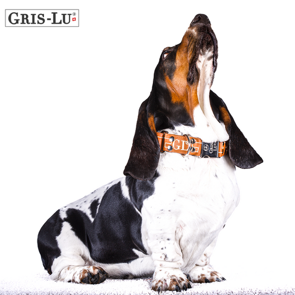 Designer Hundehalsband in braun. Von Gris-Lu Schweiz.