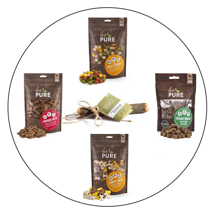 Dog Shop Paradise Lugano Negozio per cani a Lugano Hundefachgeschäft Lugano