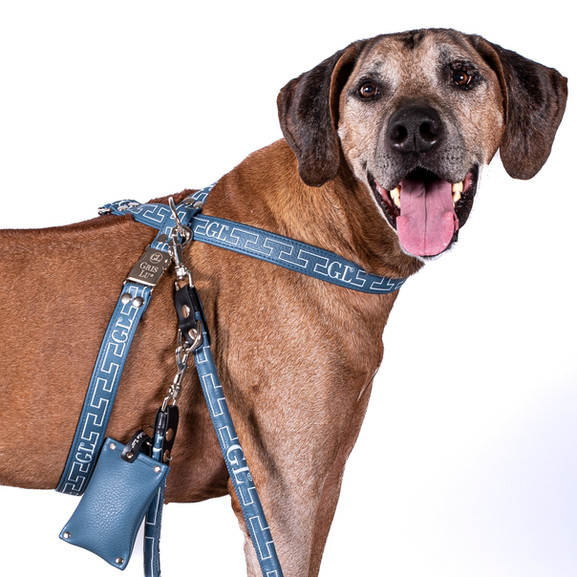 SET OCEAN DHORUBA GRIS-LU SHOPIFY SHOP_edited.jpg