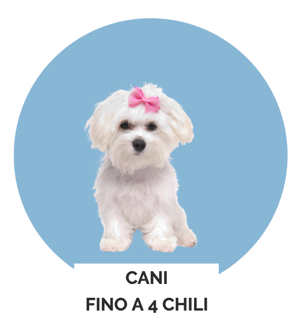 ‎TOELETTATURA DOG BEAUTY SPA LUGANO PELO_edited.png