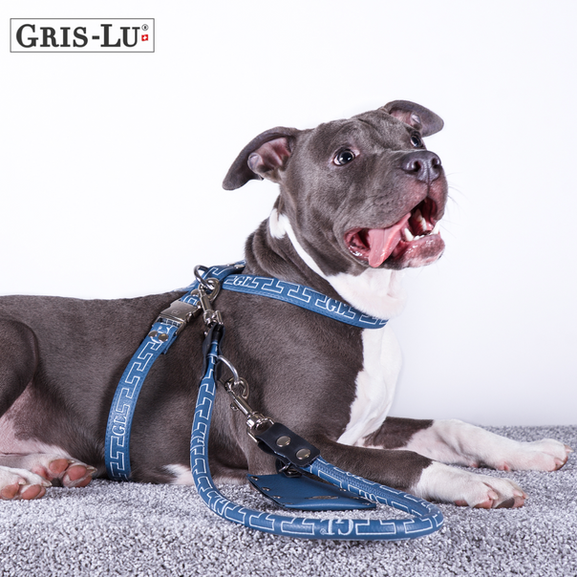 Blue dog harness with matching leash. From Gris-Lu Switzerland.