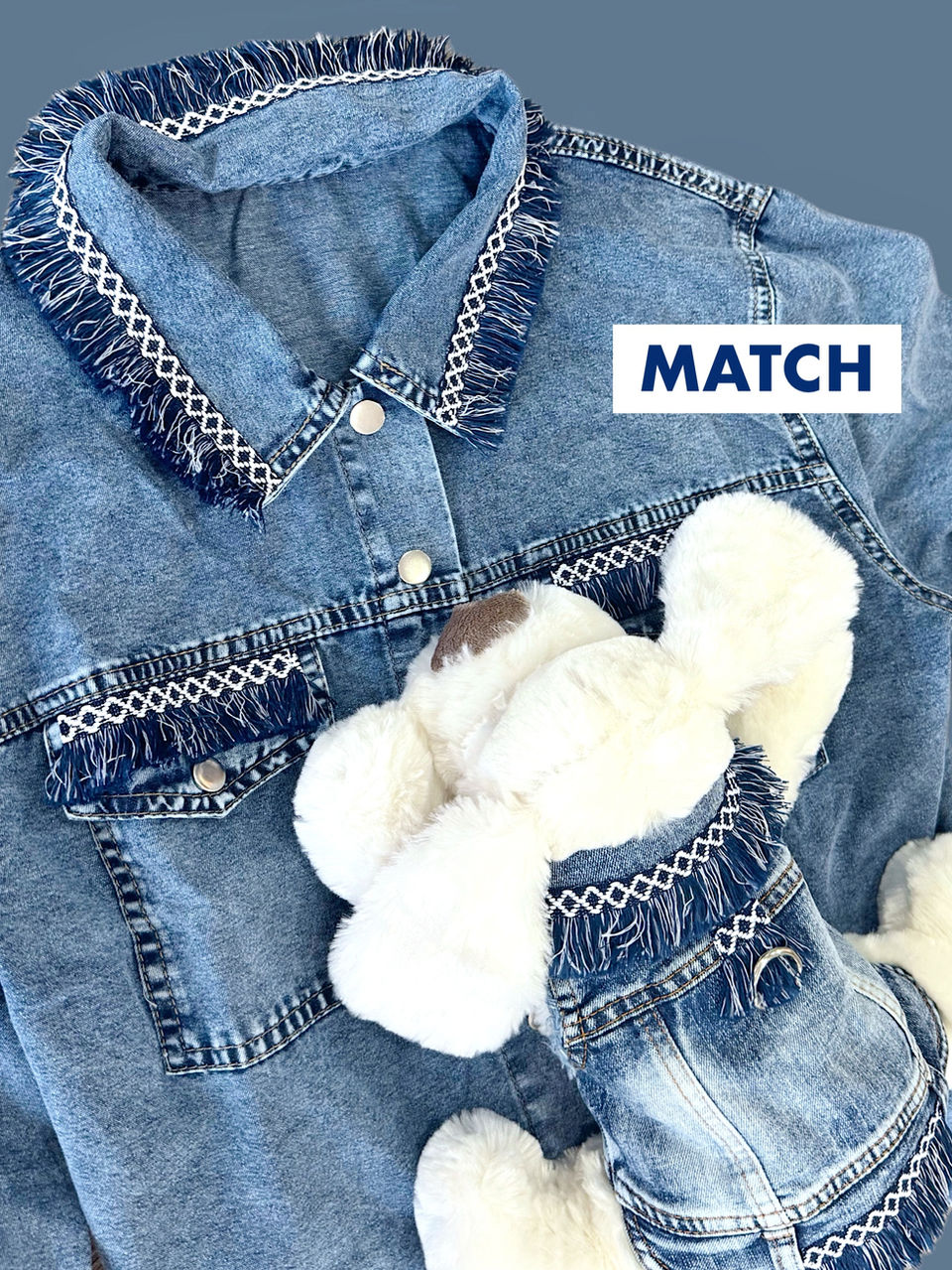 Jeans Fashion for dogs and owners. Matching clothes,