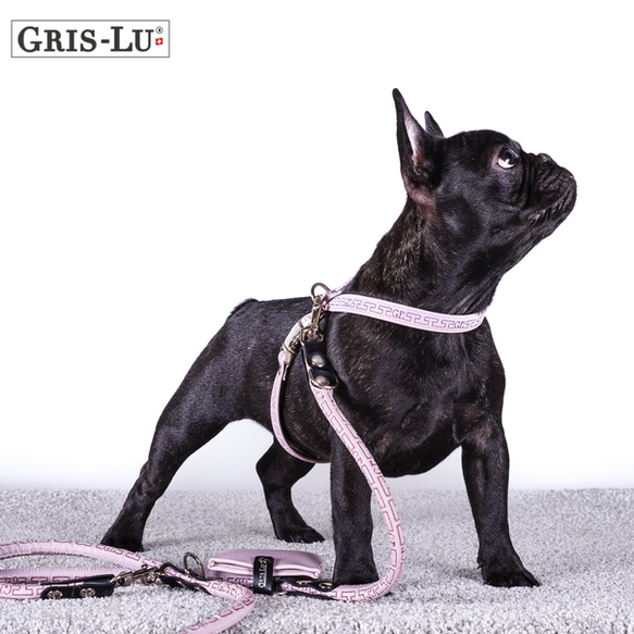 Designer Hundegeschirr in rosa mit passender Leine.
