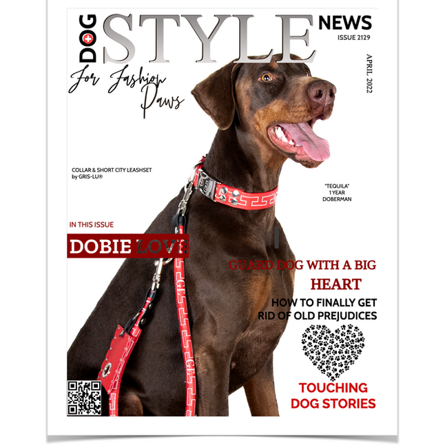 Designer Halsband für grosse Hunde von Gris-Lu Schweiz.