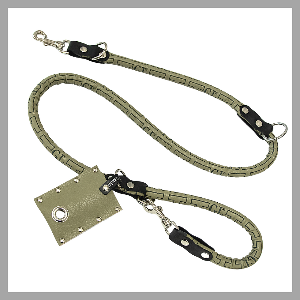 Thumbnail: HARNESS & LEASH GREEN - GRIS-LU VERT