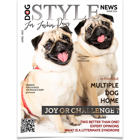 Pettorine per cani per coppie. Di Gris-Lu Svizzera.