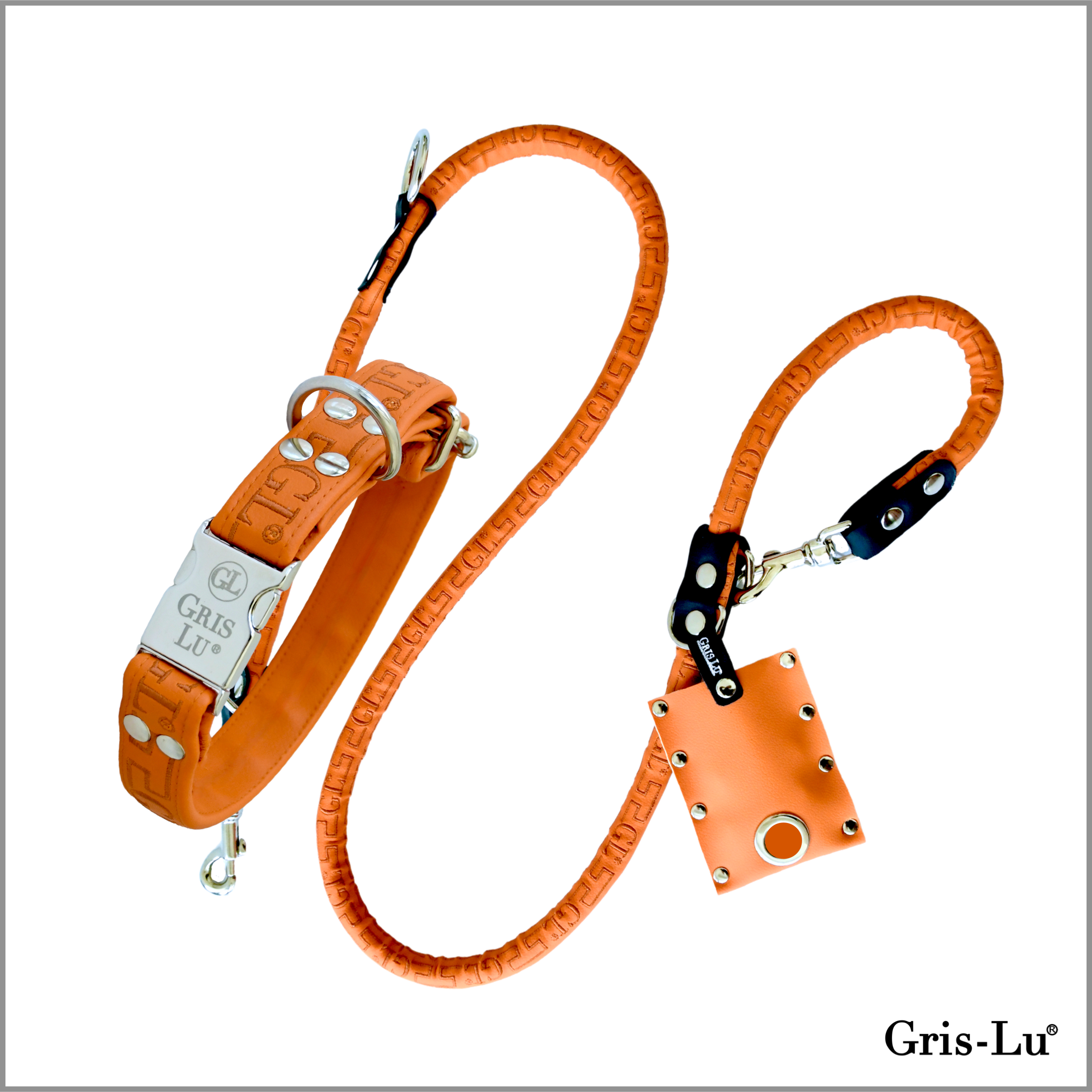 COLLARE PER CANI E GUINZAGLIO ARANCIONE - GRIS-LU PASSION