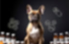 DOG PARDISE LUGANO DOG SUPPLEMENTS.jpg