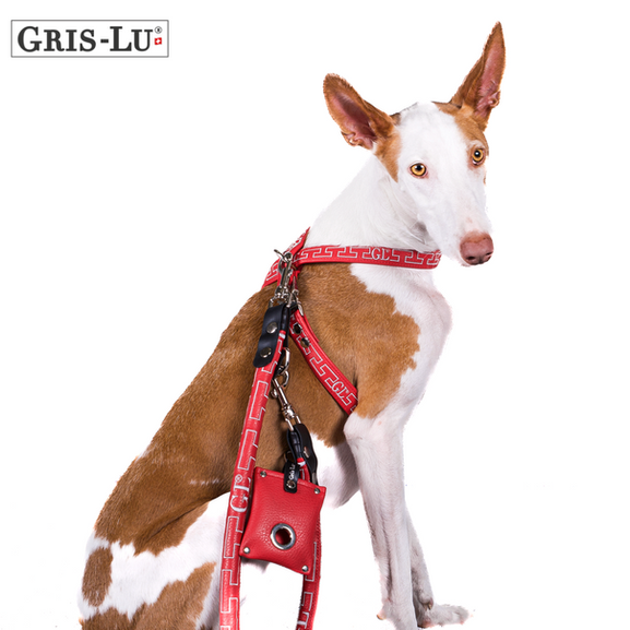 Pettorina di design per cani di grossa taglia. Da Gris-Lu, Svizzera.