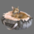 Beste Hundetaschen für Hunde online shop Schweiz.