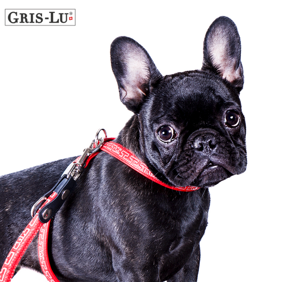 Vegan leather, dog accessories from Gris-Lu Switzerland.