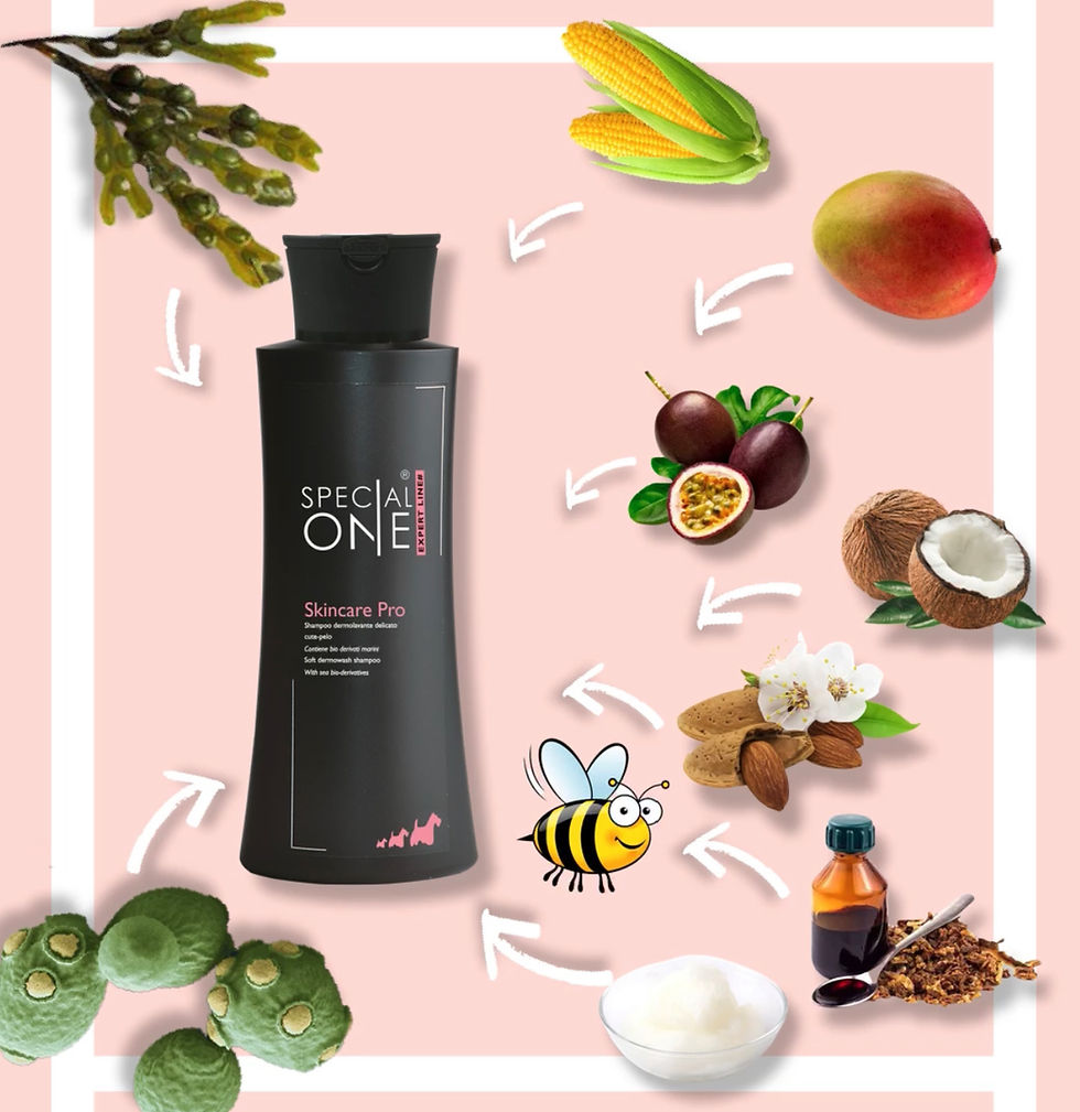 SKINCARE PRO SHAMPOO SPECIALONE DOG SHOP PARADISE.jpg