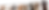TOELETTATURA LUGANO CANI TAGLIO.png